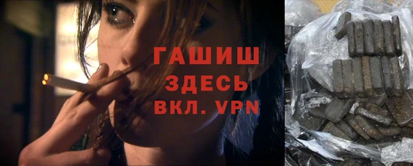 стаф Верея