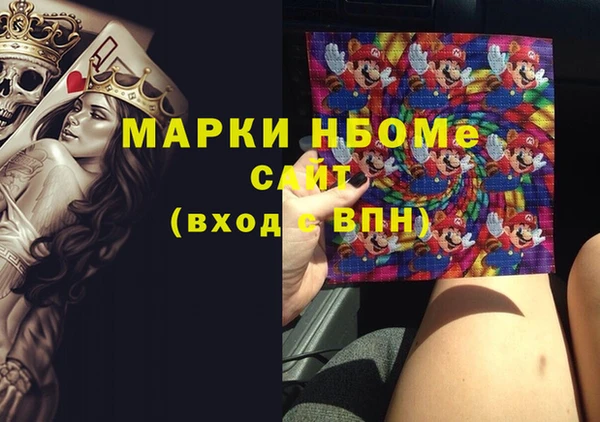 стаф Верея