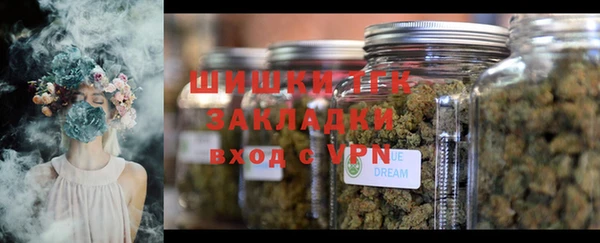 ГАЛЛЮЦИНОГЕННЫЕ ГРИБЫ Снежногорск