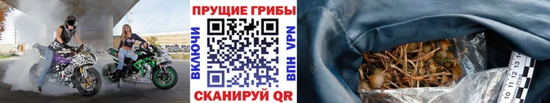 Галлюциногенные грибы MAGIC MUSHROOMS  mega сайт  Гагарин  цены  